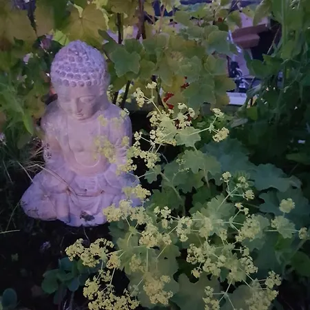 Nocleg ze śniadaniem Wheelhouse Euphrate Houseboat Amsterdam