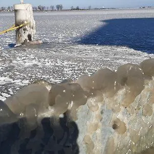 Wheelhouse Euphrate Houseboat