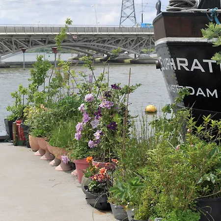 Wheelhouse Euphrate Houseboat