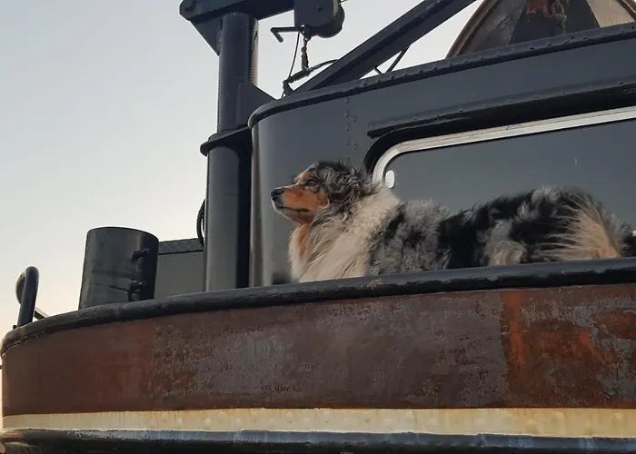 Bed & Breakfast Wheelhouse Euphrate Houseboat 3*