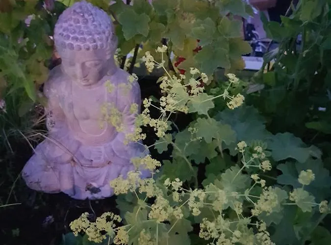 Bed & Breakfast Wheelhouse Euphrate Houseboat Amsterdam