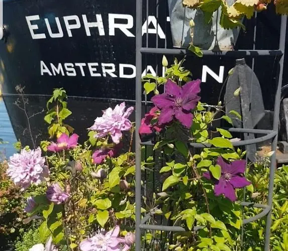 Wheelhouse Euphrate Houseboat Bed & Breakfast