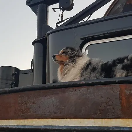 ベッド・アンド・ブレックファスト Wheelhouse Euphrate Houseboat 3*